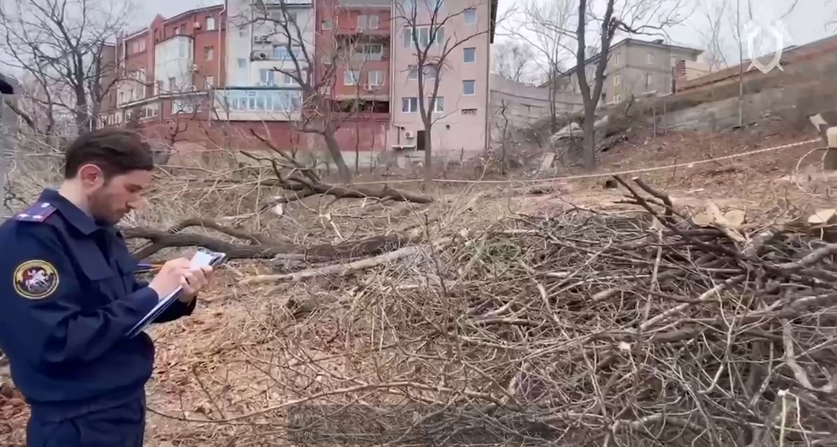 Фото: СУ СК РФ по Приморскому краю
