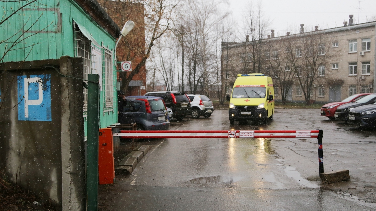 Фото: Анастасия Макарычева/РБК