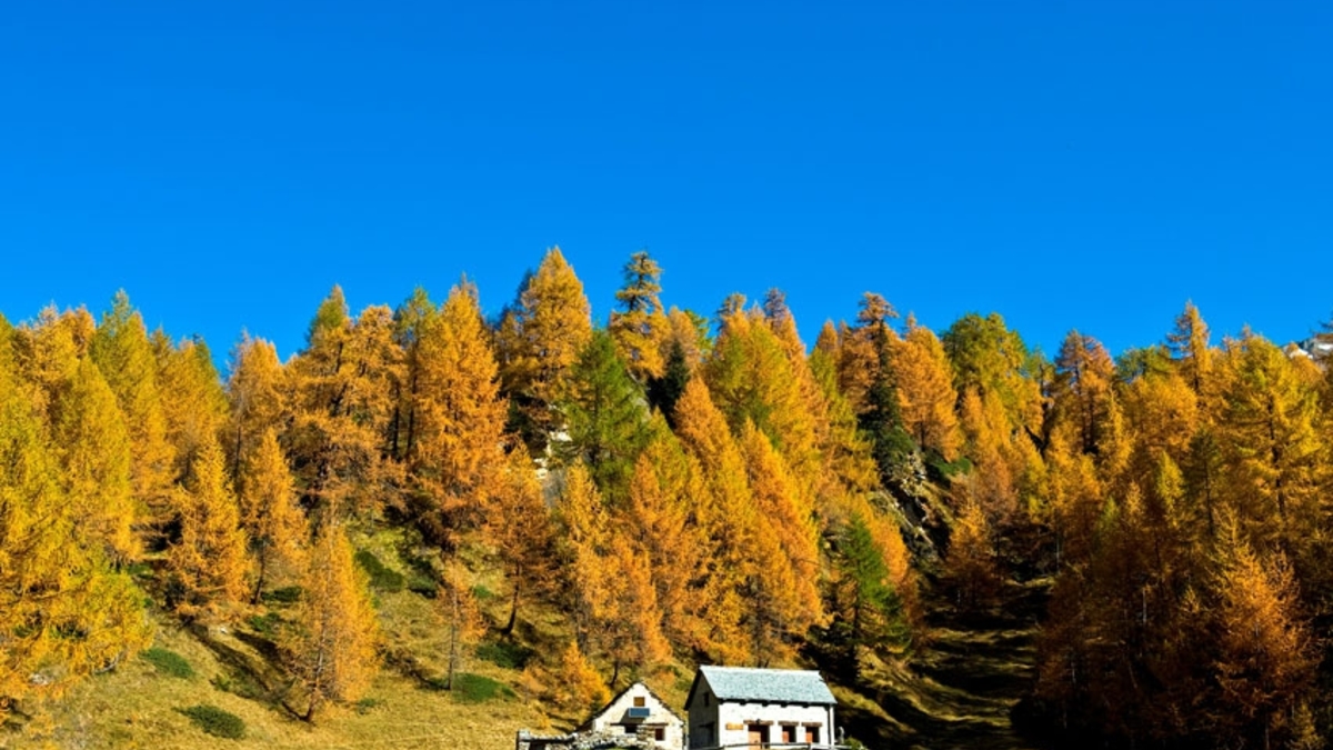 Фото: ITAR-TASS/UIG