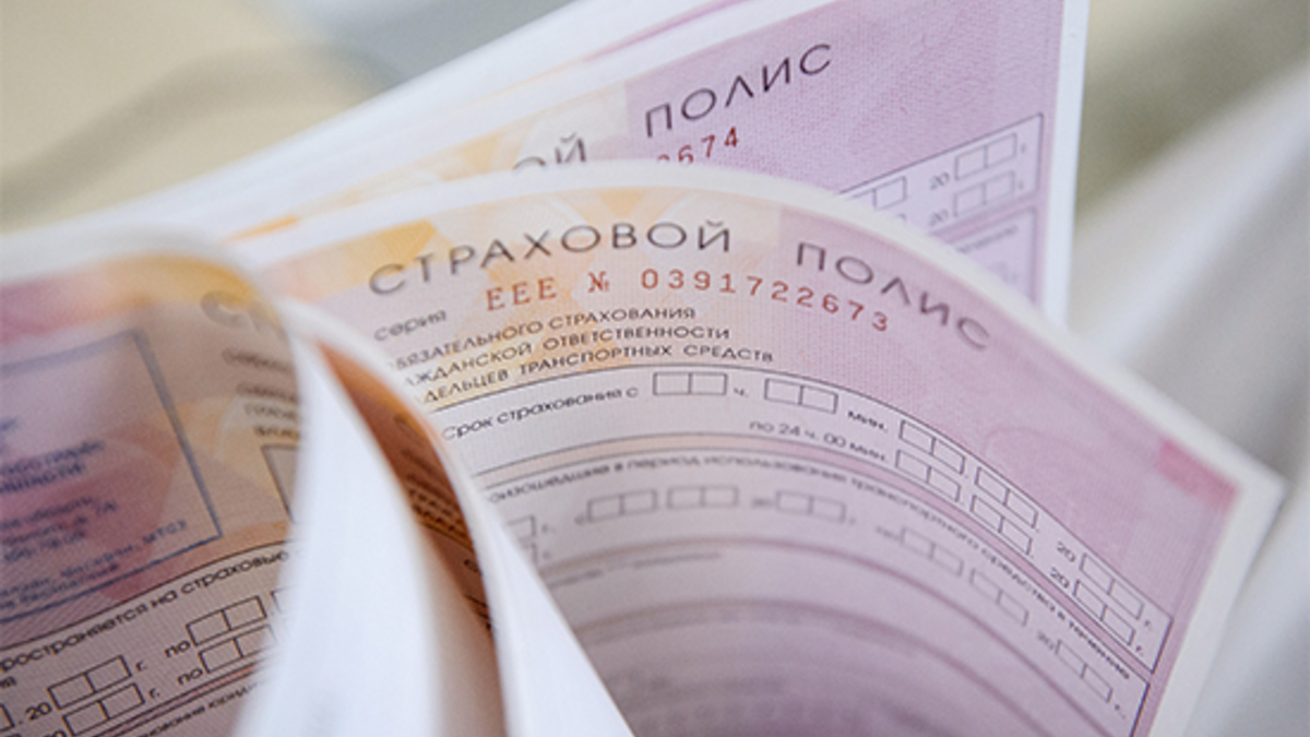 Фото: Донат Сорокин/ТАСС