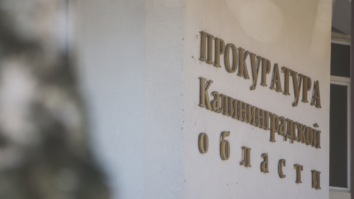 Фото: Александр Подгорчук