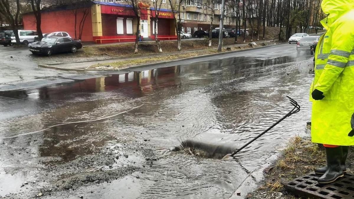 Во Владивостоке ввели свободное посещение школ и детсадов из-за непогоды —  РБК