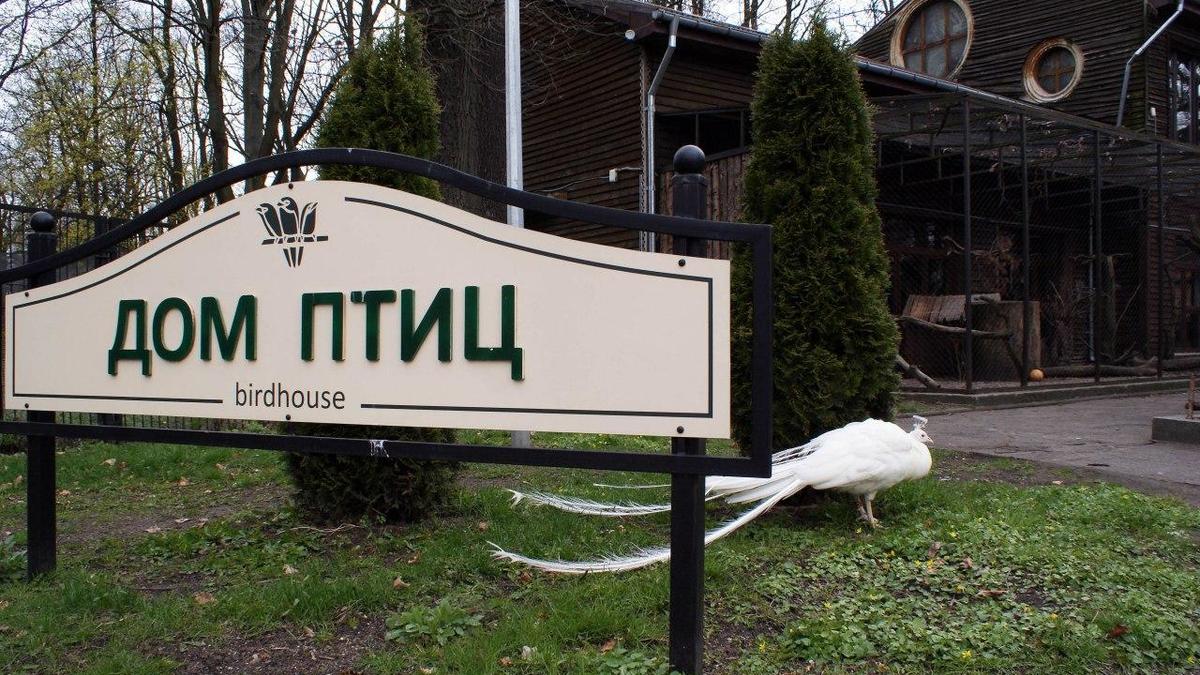 Фото: Виктор Буздин