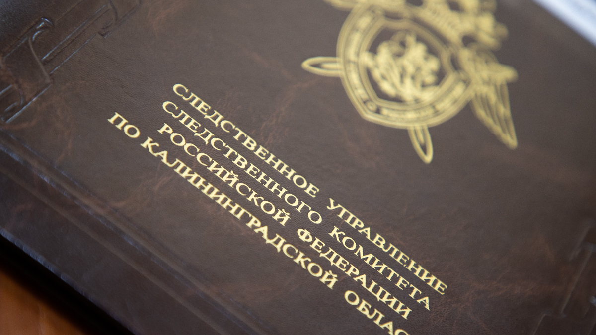 Фото: Александр Подгорчук