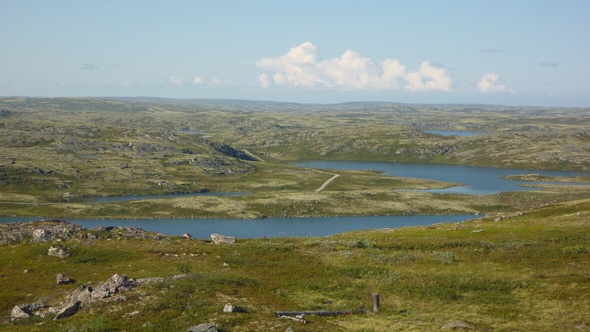 Фото: SerBor / panoramio.com