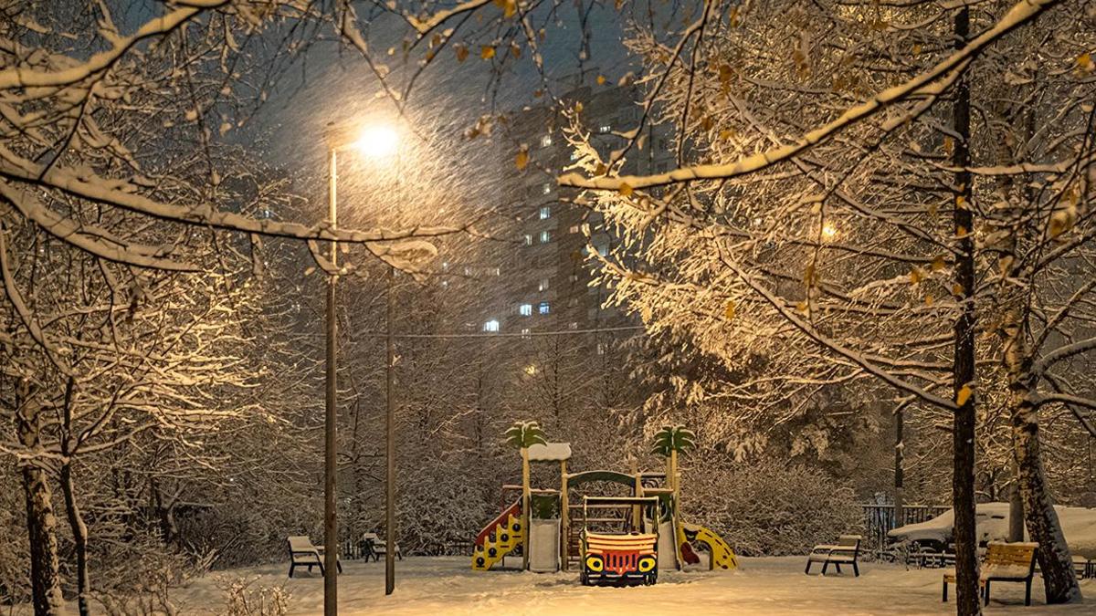 Ночь на 5 декабря стала самой холодной с начала зимы в Москве — РБК