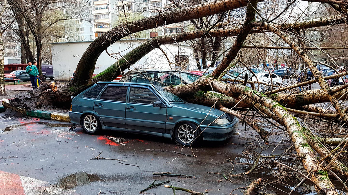 Штормовой ветер создал проблемы водителям в Москве. Фото и видео :: Autonews