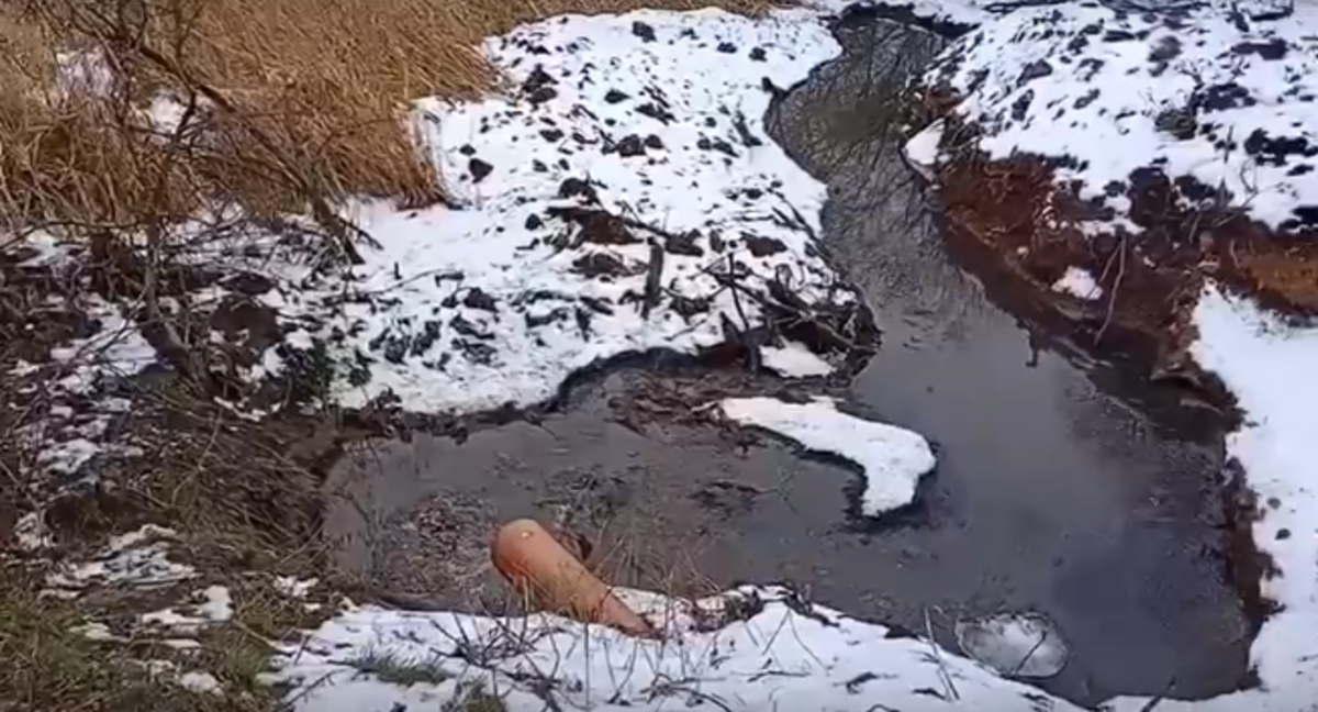 Фото: скриншот видео