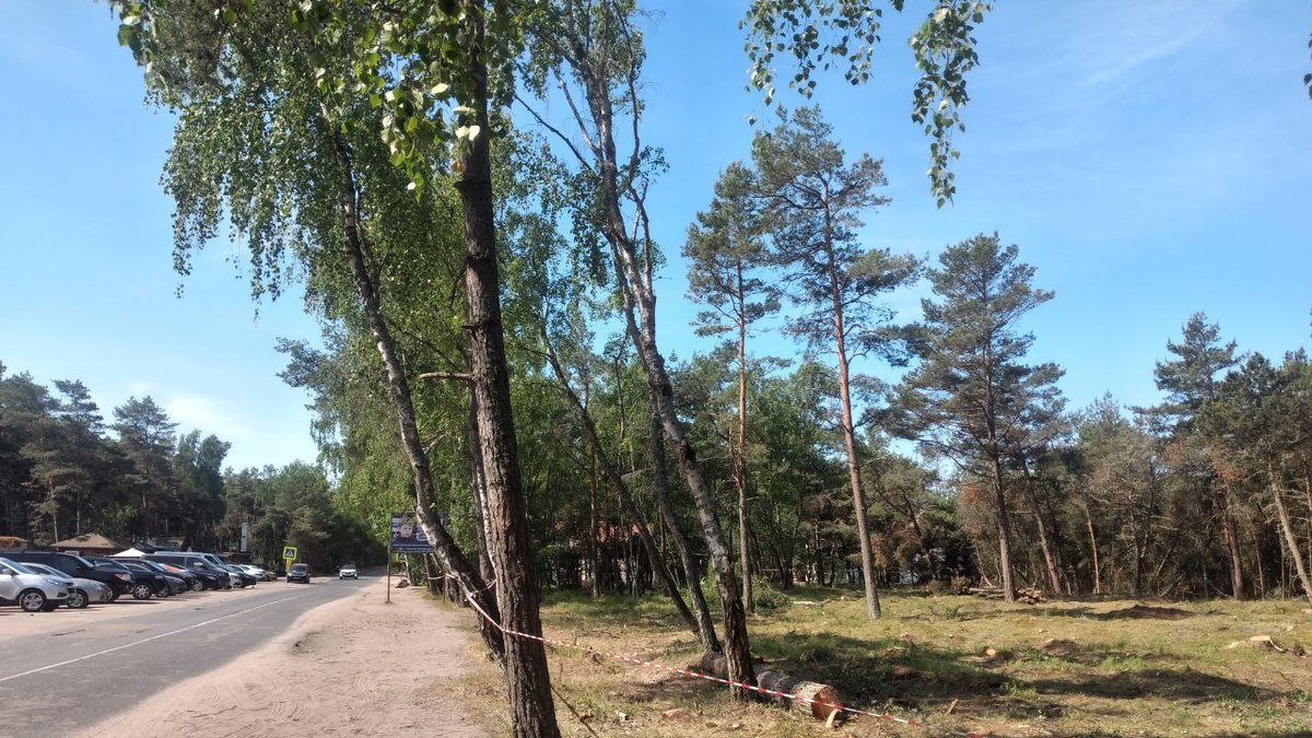 Фото: «Клопс»