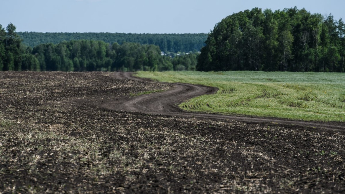 Фото: Владимир Жабриков / URA.RU