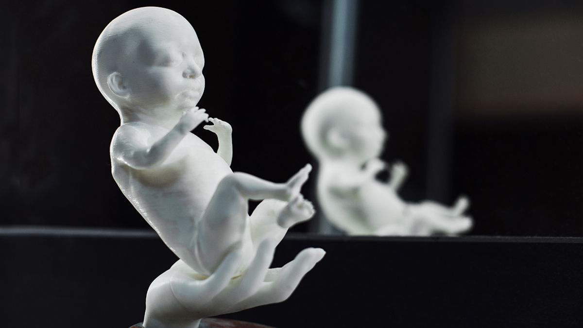 Фото: Embrion3d