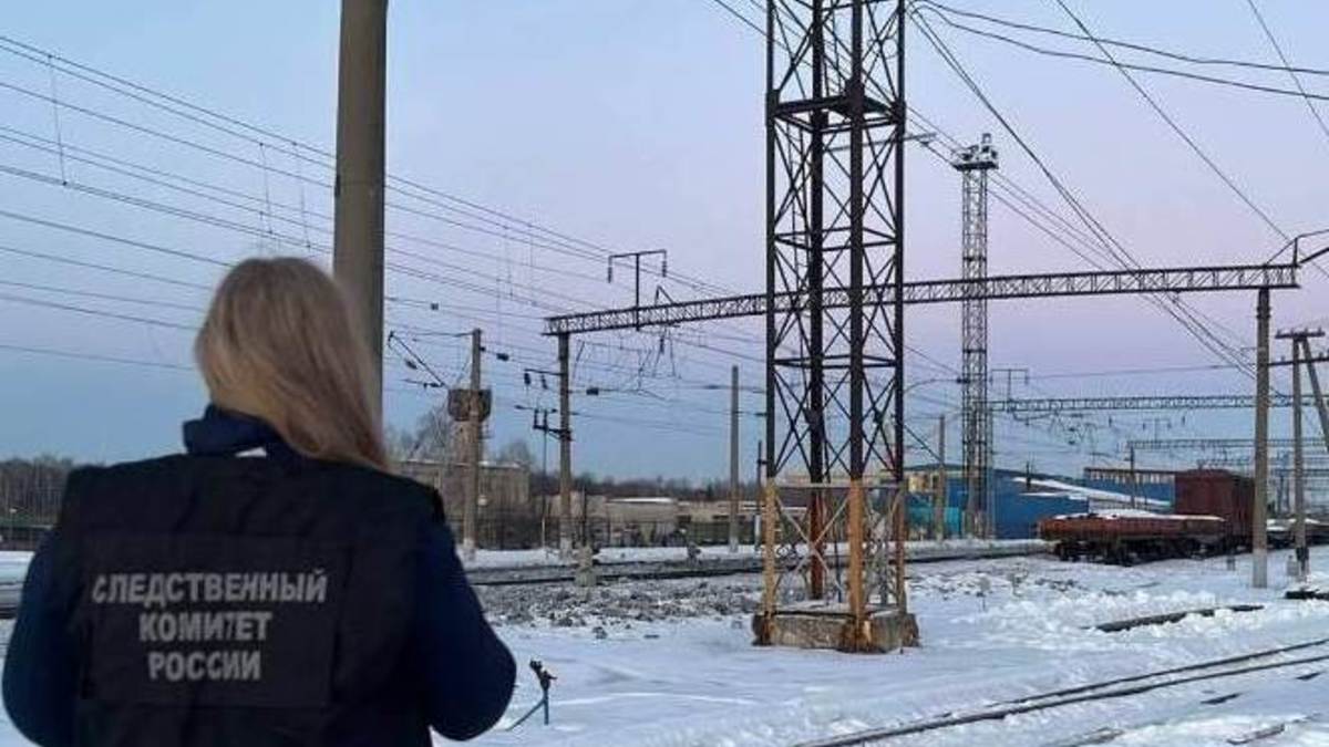 Фото: Центральное межрегиональное следственное управление на транспорте