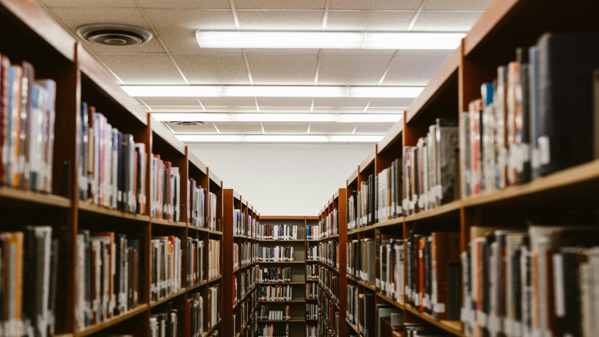 Фото: unsplash.com