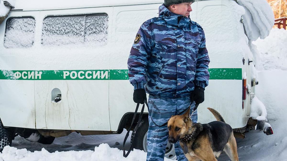 Фото: Кирилл Кухмарь / ТАСС