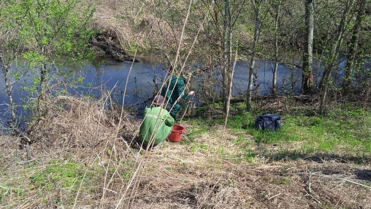 Фото: Управление Росприроднадзора по Нижегородской области и Республике Мордовия