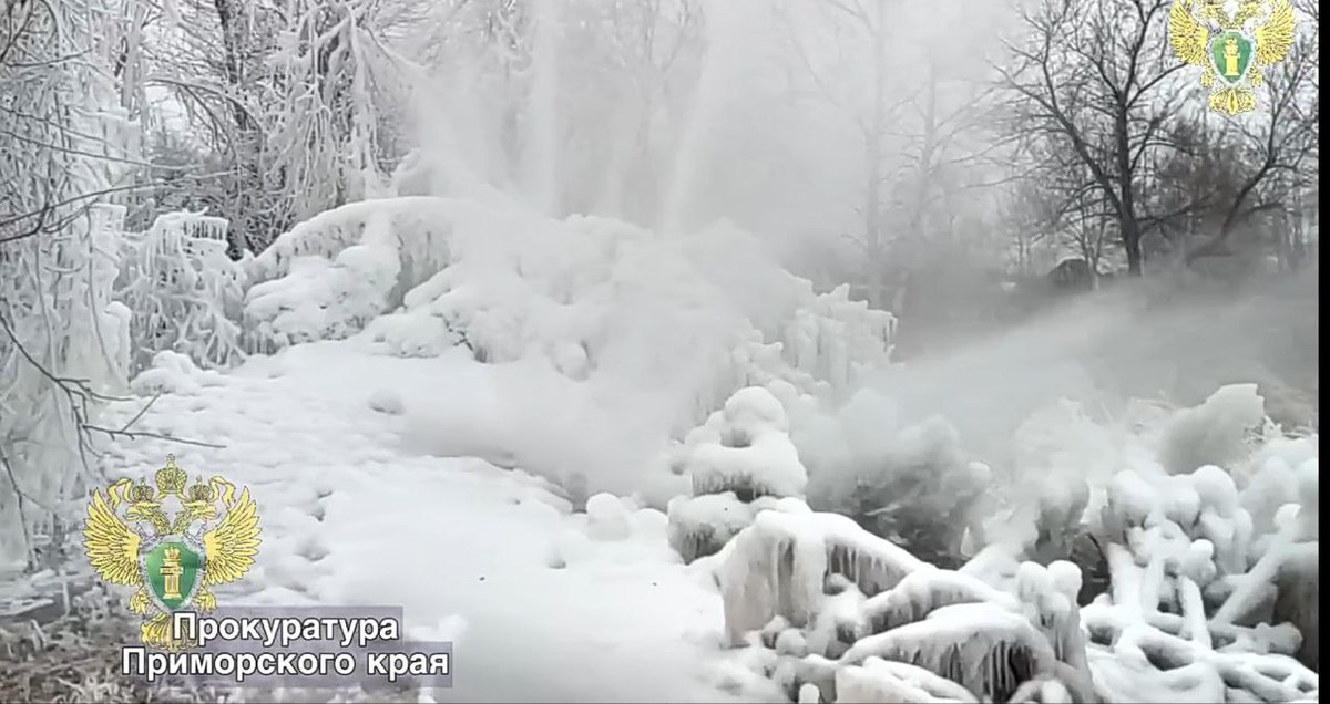 Фото: пресс-служба прокуратуры Приморского края, скриншот видео