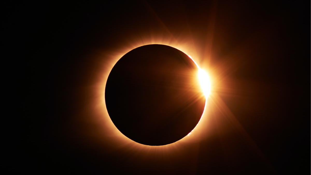 Фото: Jongsun Lee/unsplash