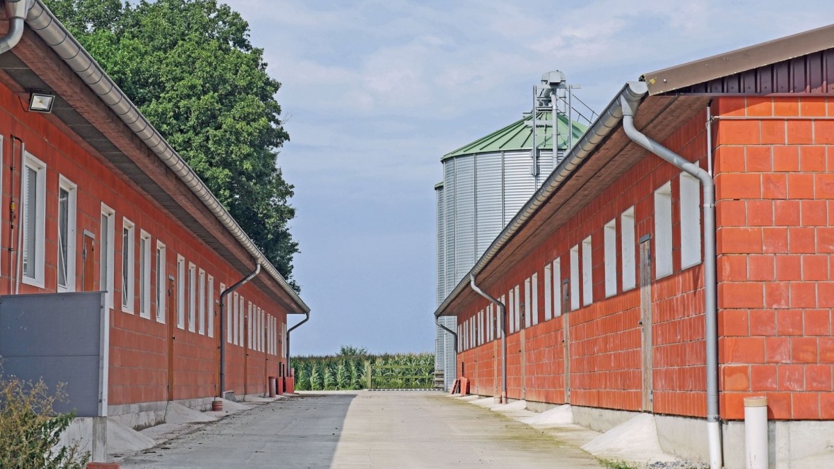 Фото: pixabay.com
