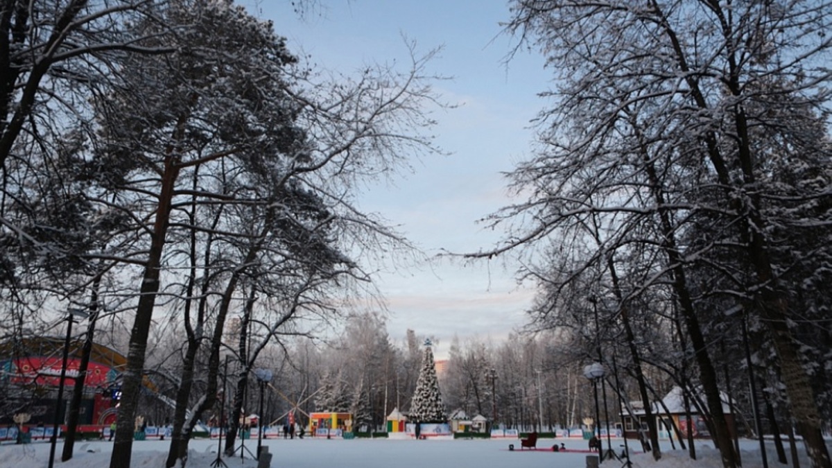 Фото: novo-sibirsk.ru