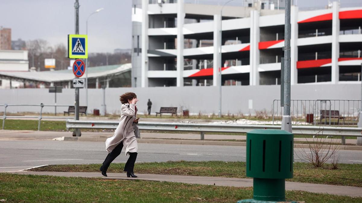 МЧС предупредило москвичей о сильном ветре до 17 м/с — РБК