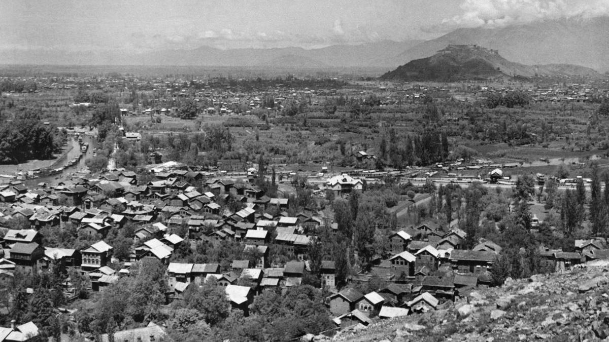 Maymun bilan onlayn porno jinsiy aloqa