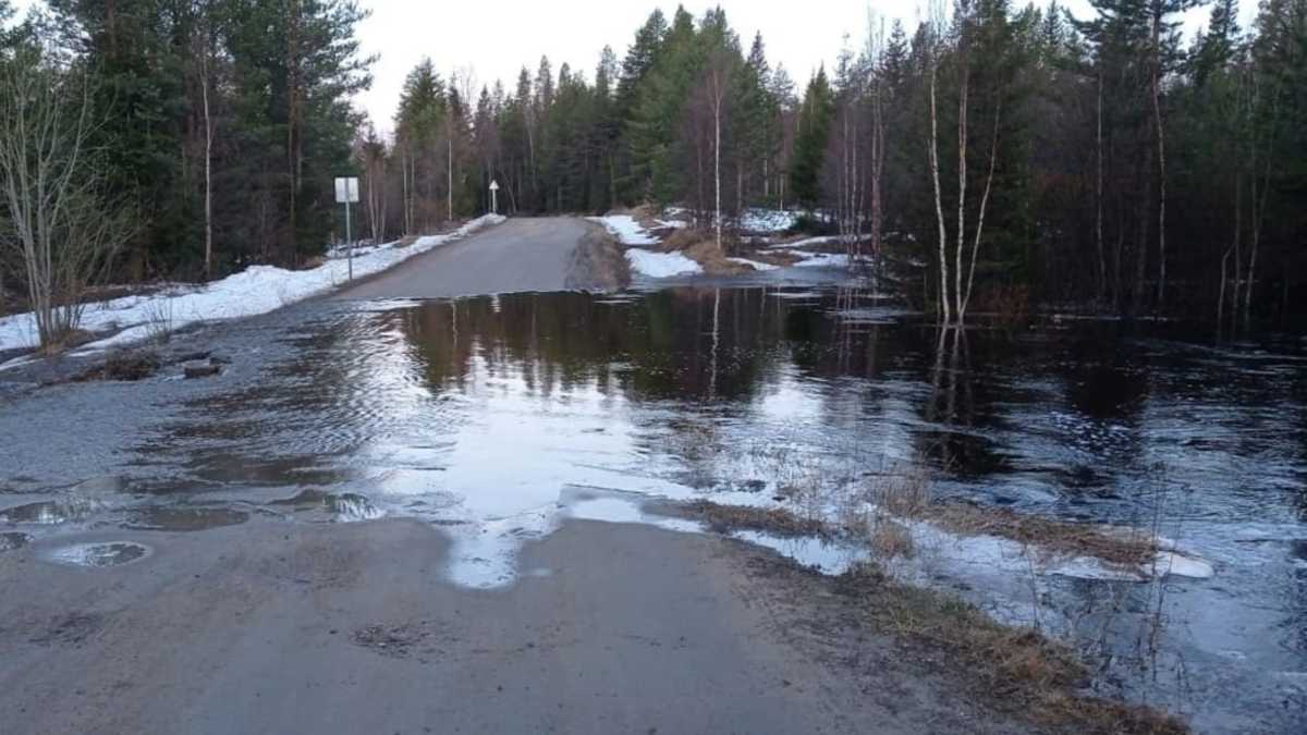 Фото: Управление автомобильных дорог Республики Карелия / vk.com