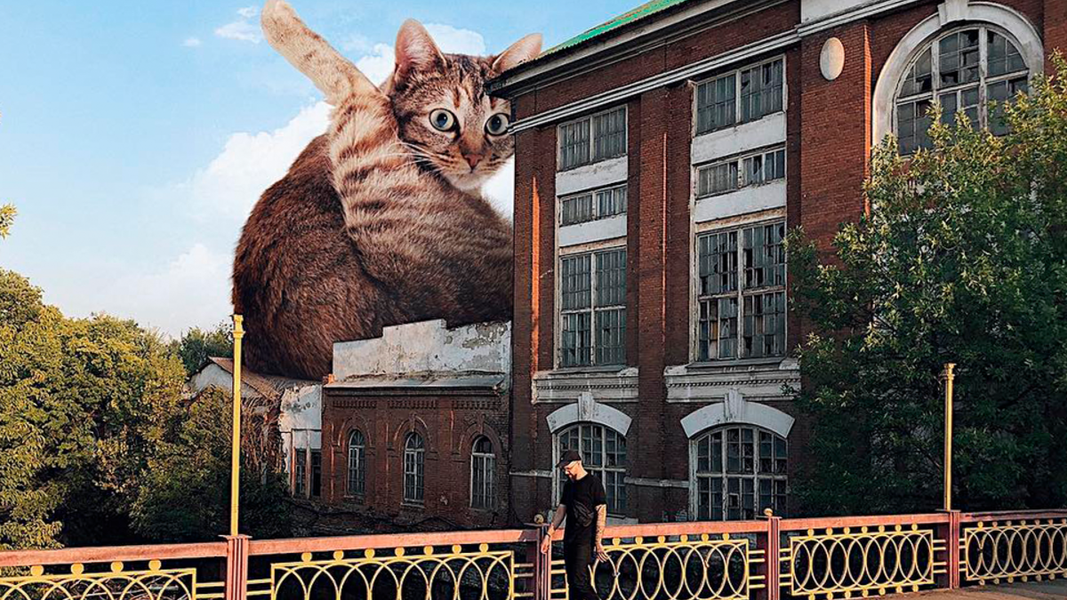 Фото: instagram.com/odnoboko