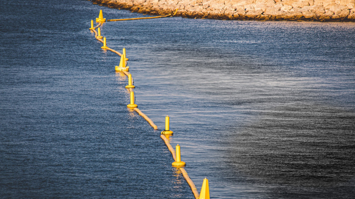 Фото: Pixabay
