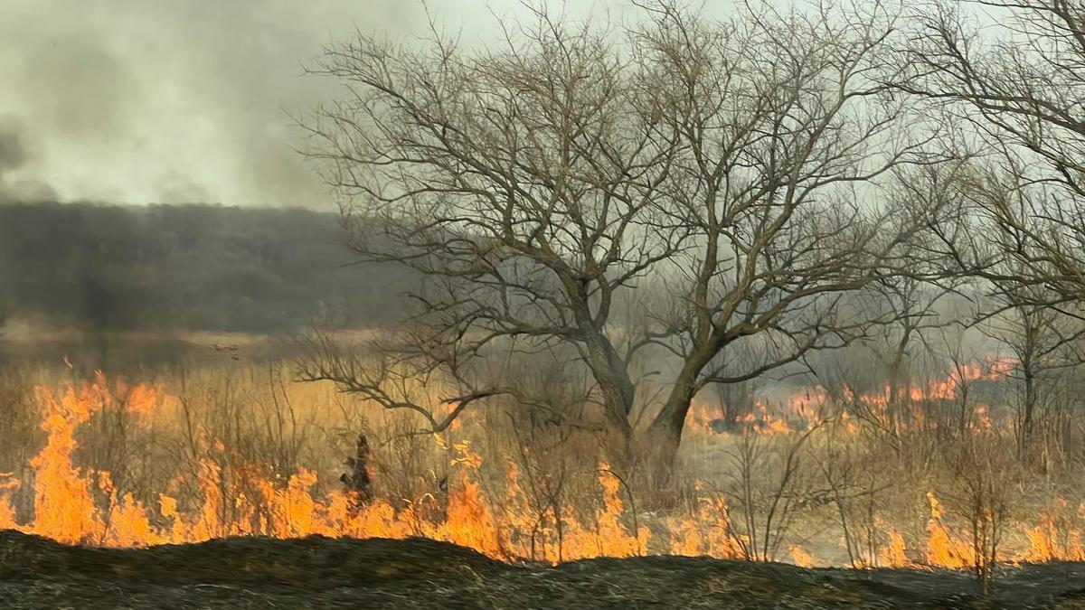 Огонь от природных пожаров перекинулся на два жилых дома в Приморье — РБК