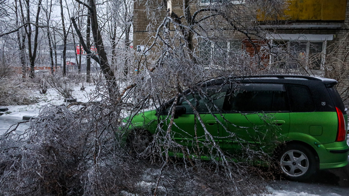 Последствия ледяного дождя во Владивостоке. Фоторепортаж — РБК