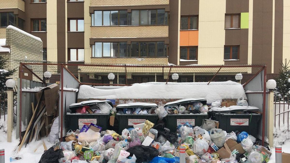 Фото: РБК Новосибирск