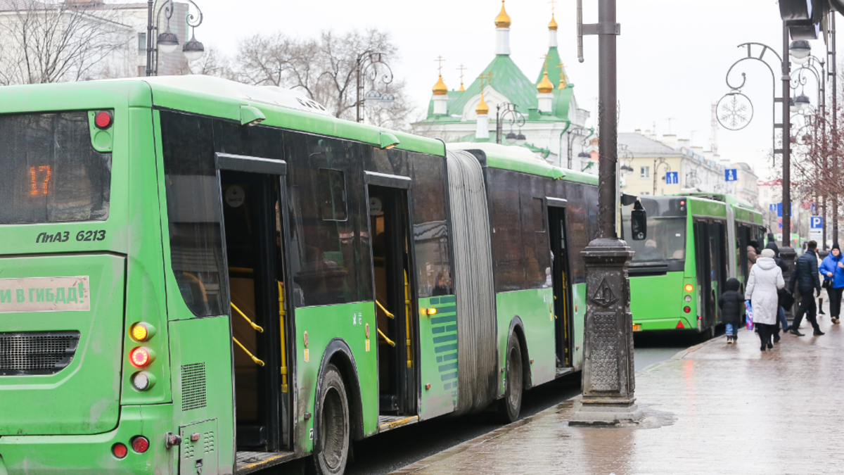 На линию автобусы должны выйти через несколько недель