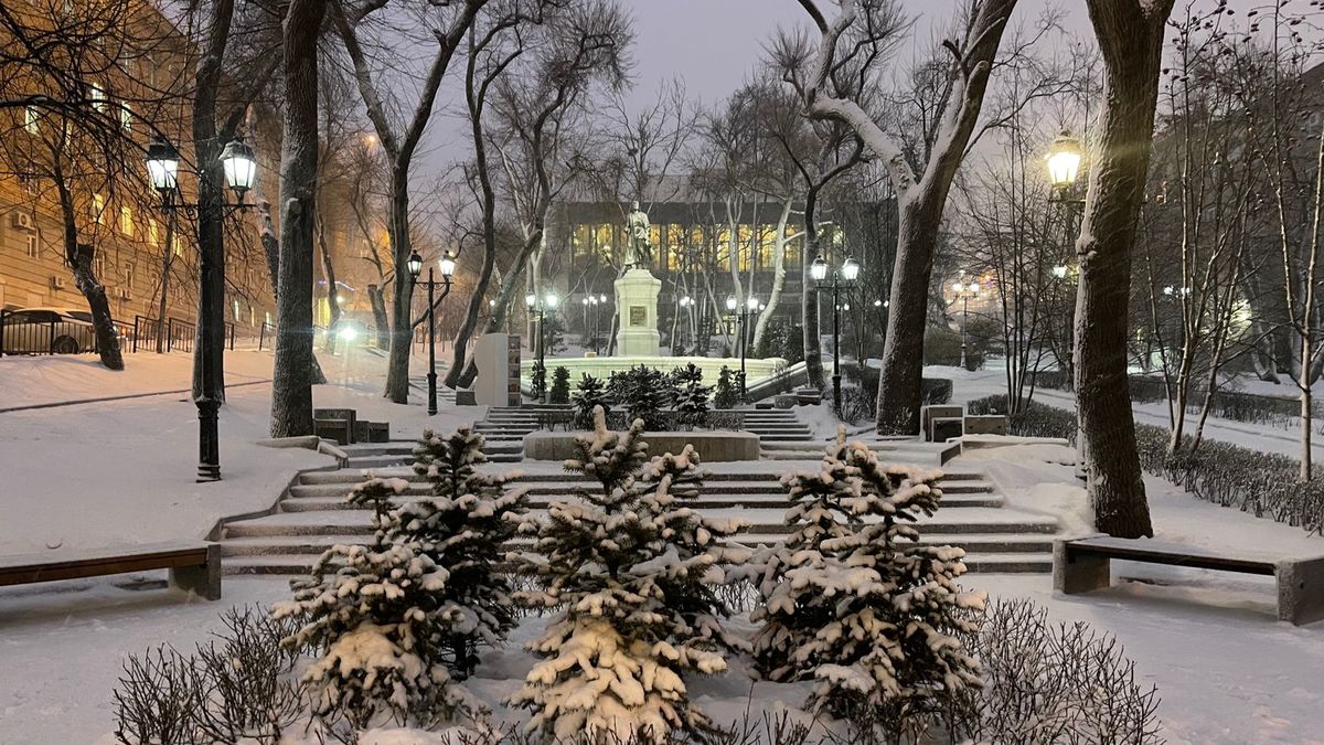 Фото: РБК Приморье