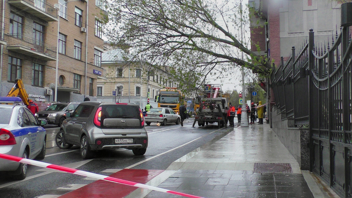 В Москве из-за ураганного ветра пострадали два человека — РБК