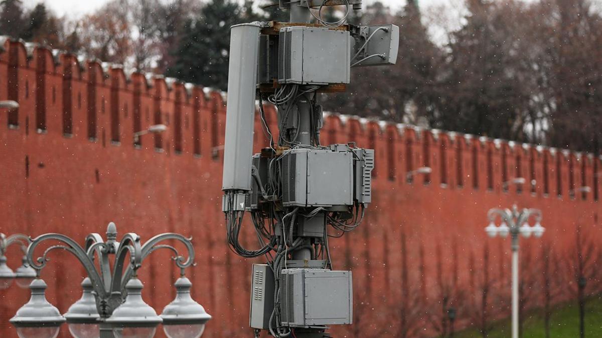 Фото: Владимир Гердо / ТАСС