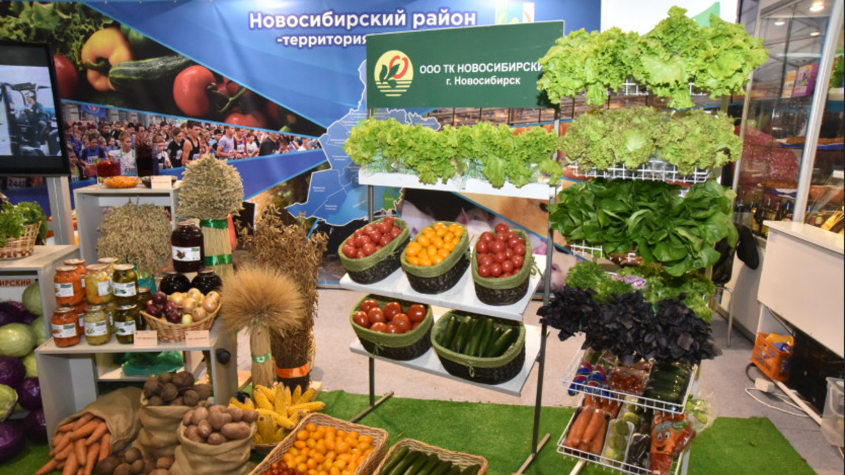Фото: nso.ru