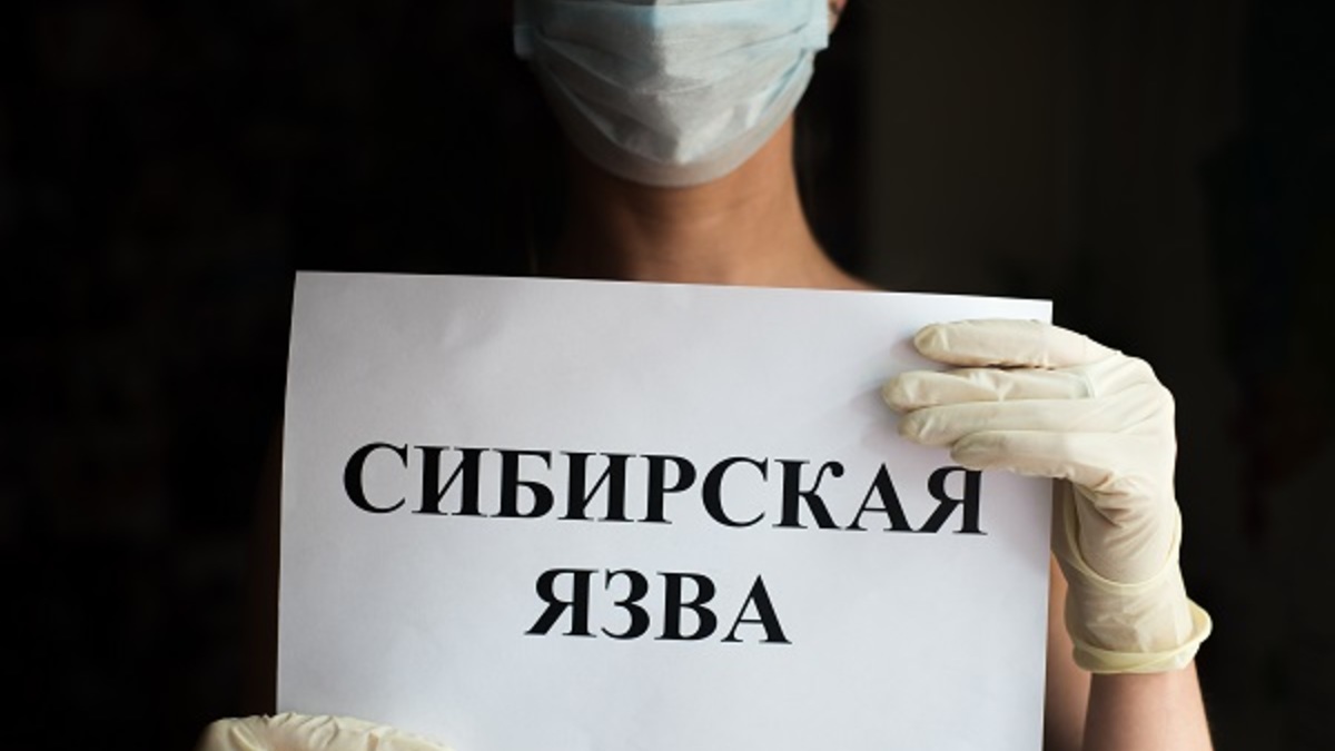 Фото: РИА URA.Ru