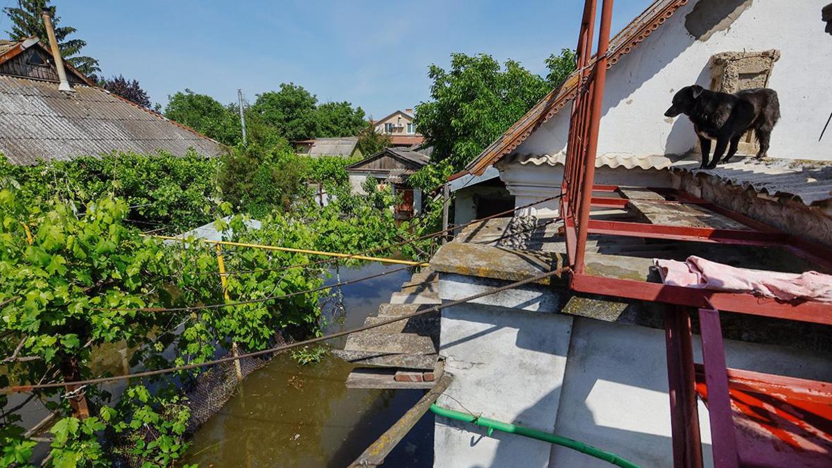 Очевидцы рассказали о первых сутках после затопления в Херсонской области —  РБК