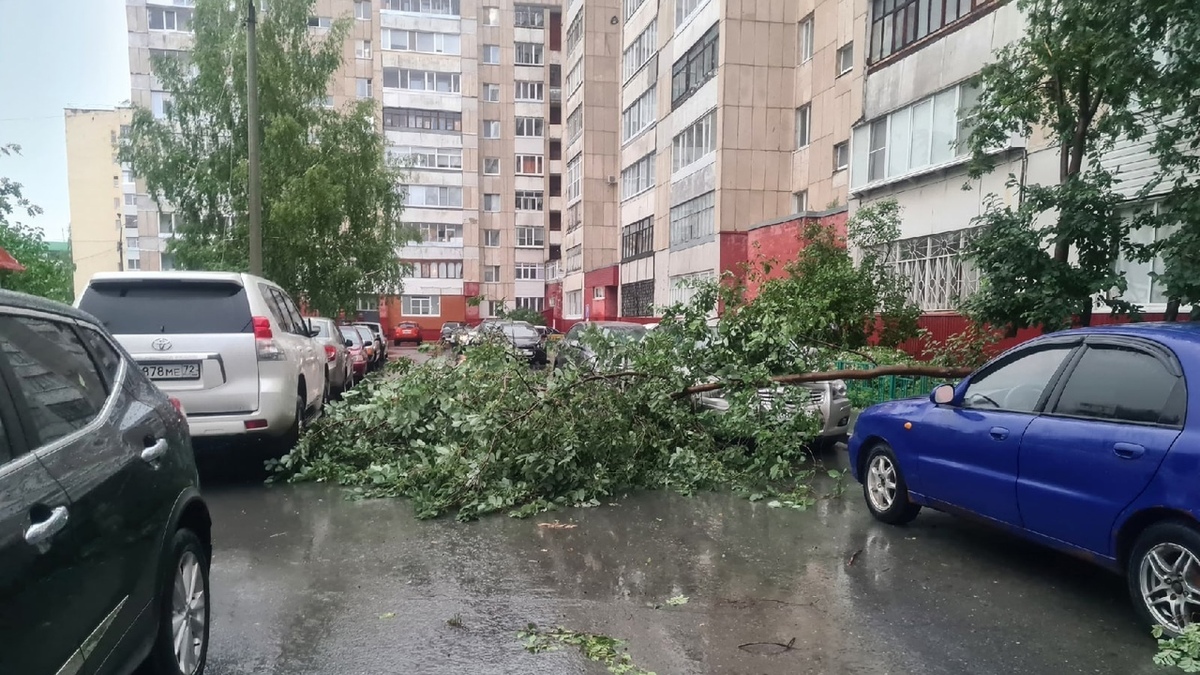 Ураган в Тюменской области: сорванные крыши, дома без света и затопления —  РБК