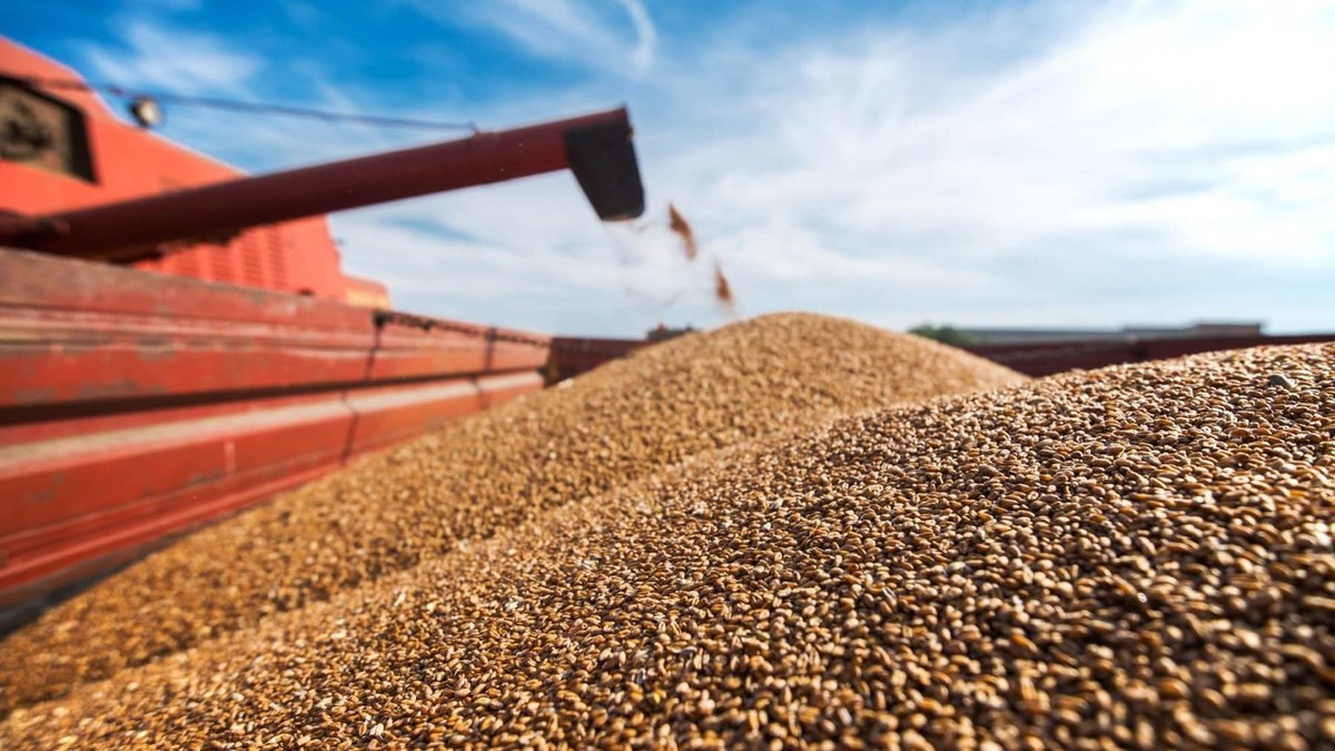Фото: agroportal-ziz.ru