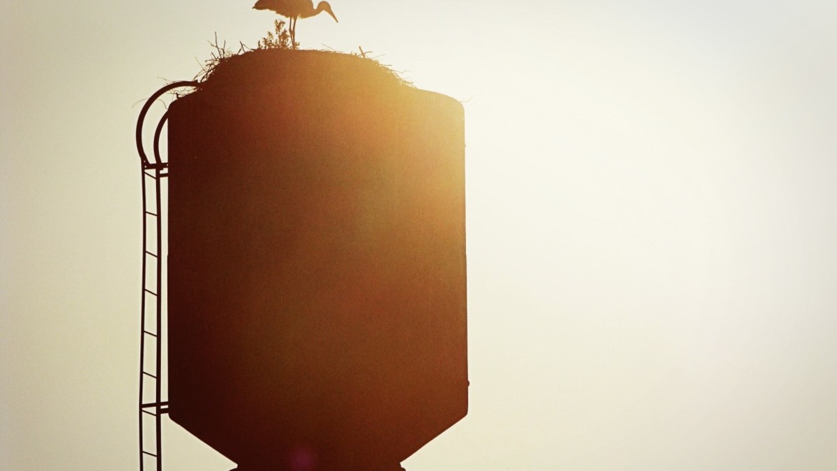 Фото: pixabay.com