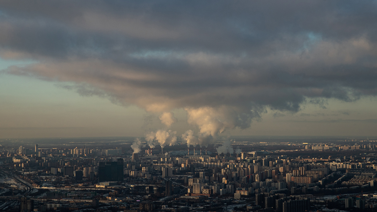 Фото: Максим Шеметов / Reuters