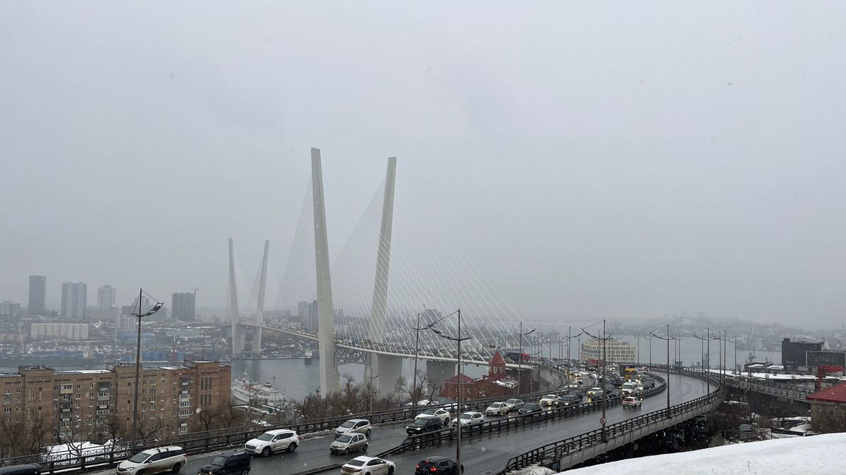 Фото: РБК Приморье