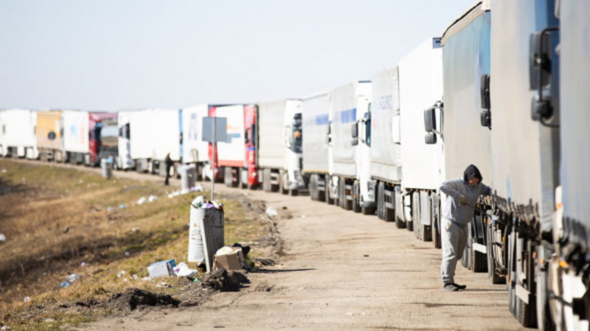 Фото: Александр Подгорчук