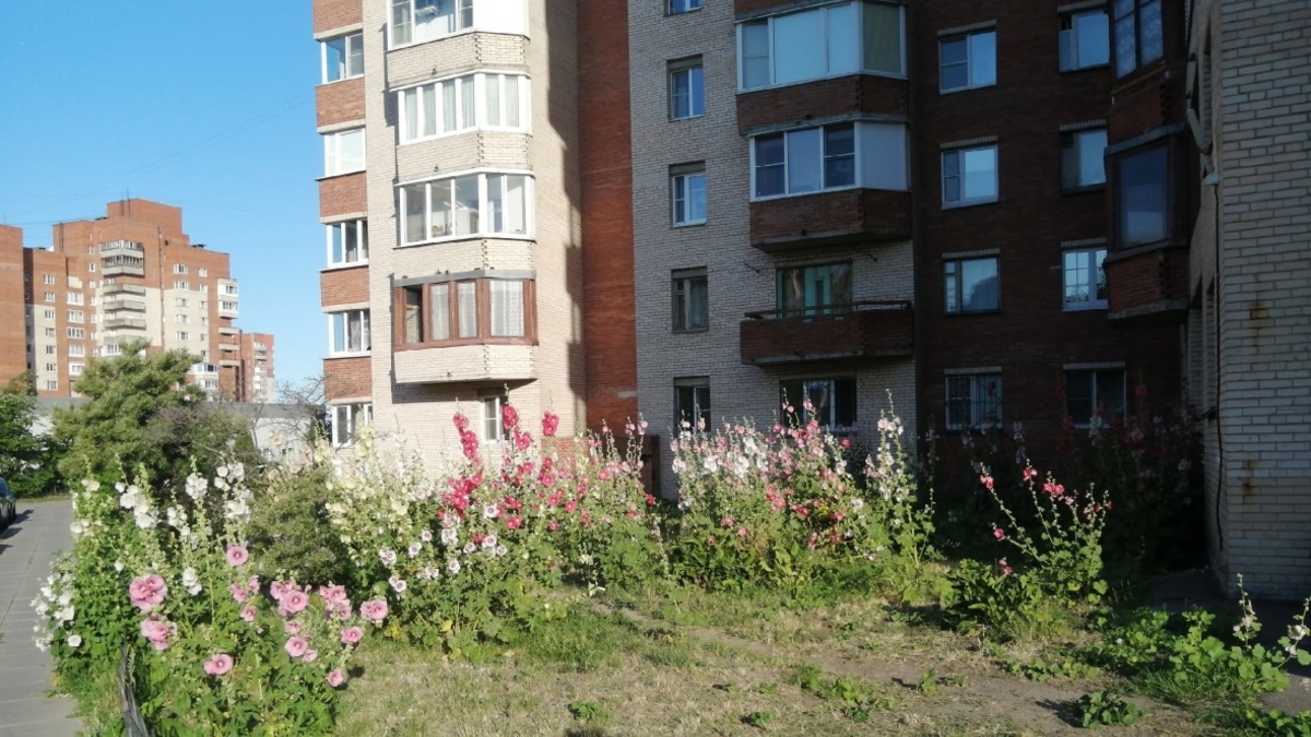 Фото: РБК Черноземье