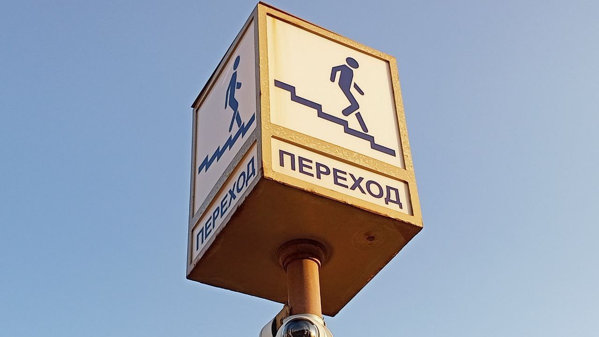 Фото: Алексей Коваленок / РБК Новосибирск