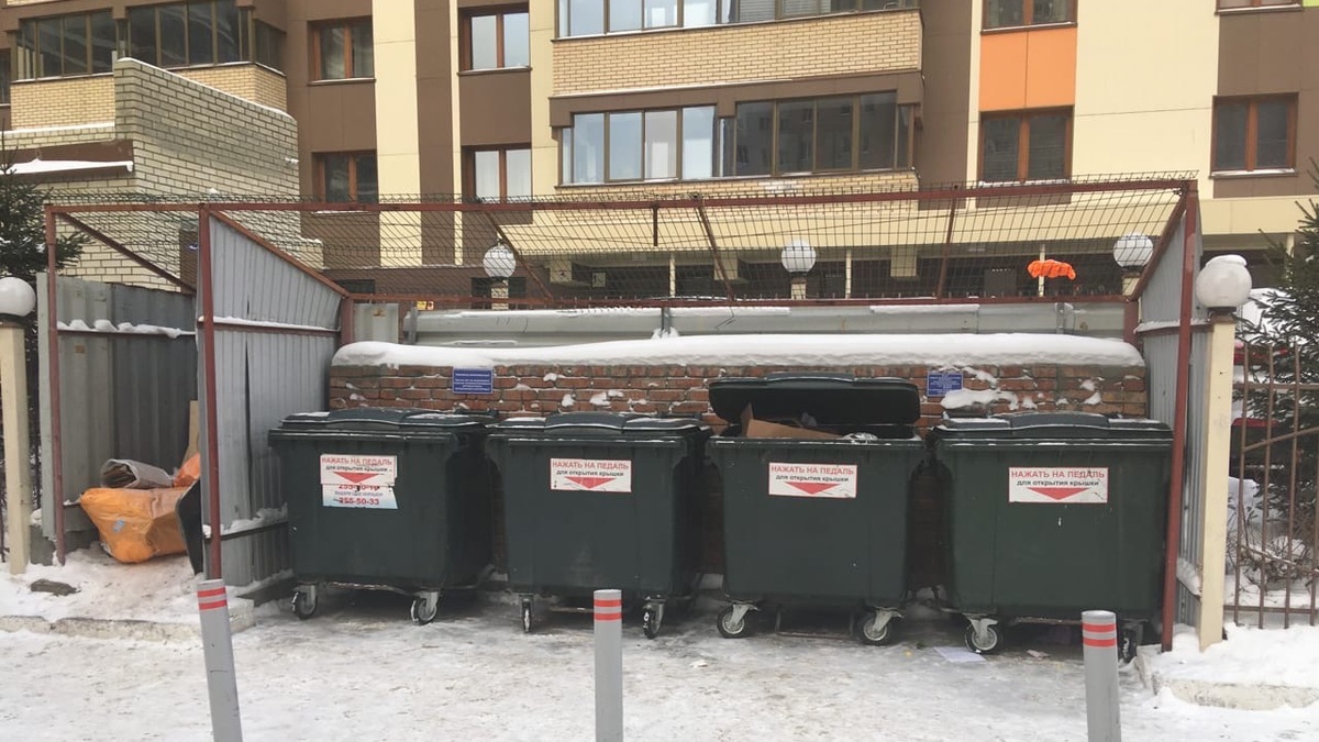 Фото: РБК Новосибирск