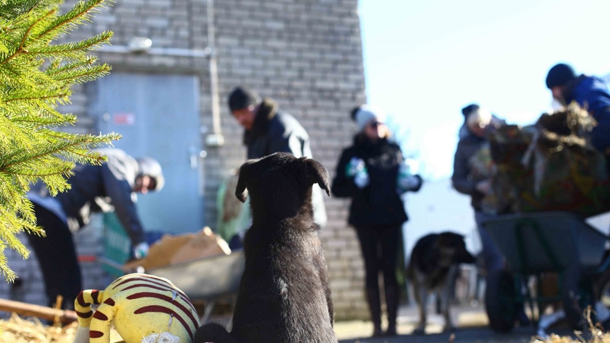 Фото: Александр Подгорчук