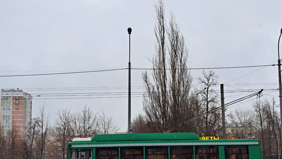 Фото: РБК Татарстан