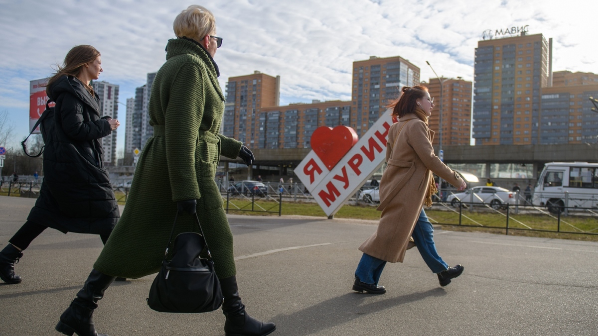 Конфликтный участок под Петербургом сменил владельца — РБК